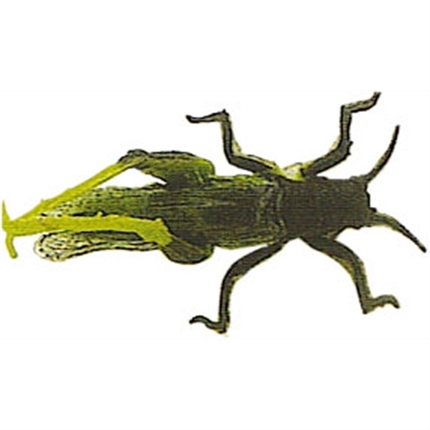 Picture of Creme Lures Grasshopper 2/Cd #6Hk-Green