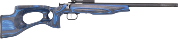 Picture of Crickett, Keystone Youth Rifle, 22 Lr, Single Shot, EZ Loader, Scope Mount, Target Model, 16.125"  Blued Bbl, Blue Lam KSA2549