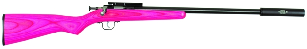 Picture of Crickett 22Lr Bl/Pink Lam TB
