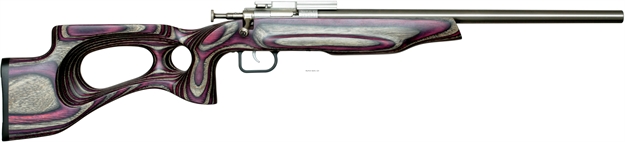 Picture of Crickett, Keystone Youth Rifle, 22 Lr, Single Shot, EZ Loader, Scope Mount, Target Model, 16.125" SS Bbl, Purple SS