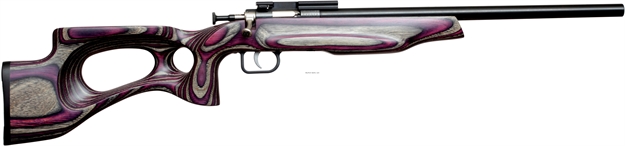 Picture of Crickett, Keystone Youth Rifle, 22Wmr, Single Shot, EZ Loader, Scope Mount, Target Model, 16.125" Blued Bbl, Purple Lam