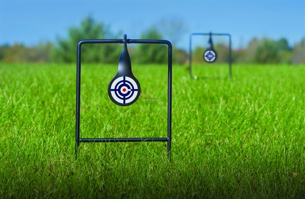 Picture of Crosman Logo Dual Spinning Targets Portable All Metal 2 Targets