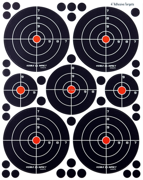 Picture of Crosman Visible Impact Target, Four 4", One 3", Two 2", Splatter Targets