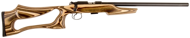 Picture of CZ 455 Vrmnt Evo 22Lr 5Rd Coyote Lam