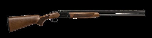 Picture of CZ Drake 12 Gauge 12-28&Quot;-06488