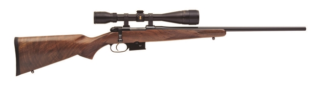 Picture of CZ 527 American 204Rug