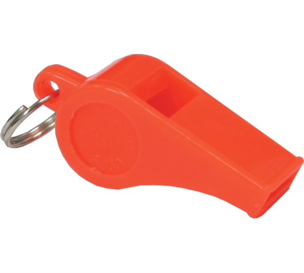 Picture of D T Systems Training Whistle Org