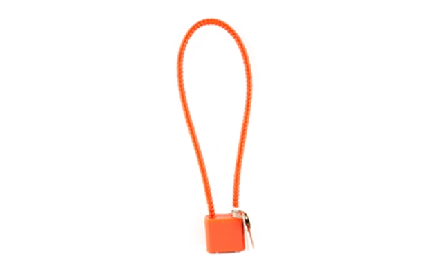 Picture of Dac Cable Lock CA & MA Approved 15" CL012014