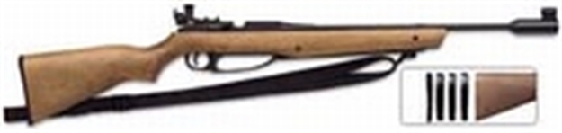 Picture of Daisy Avanti 177 Target Rifle