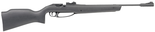 Picture of Daisy Comp Stock 953