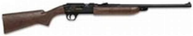 Picture of Daisy Grizzly Bb/Pellet Pump Rifle