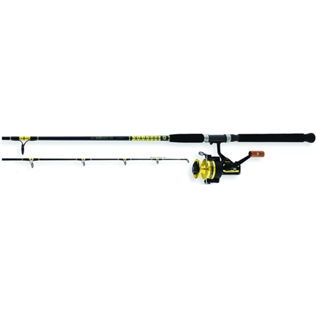 Picture of Daiwa BG Boat Spinning Combo, 30-Sz Reel, NO Line, 3Bb, 4.8:1, 250/14, 200/17, 160/20, 6' 6", ML