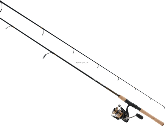 Picture of Daiwa BG Surf Spinning Combo, NO Line, 8' Med Rod 2 PC