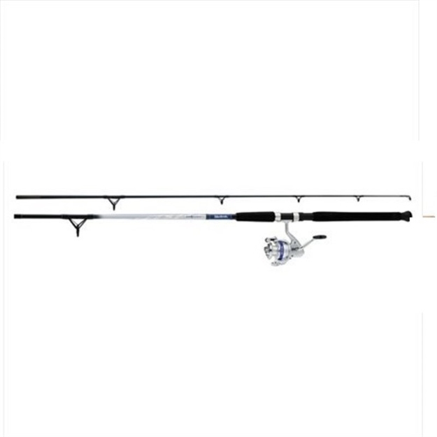 Picture of Daiwa D-Wave Saltwater Spin Combo 3Bb Sz50 9Ft 2Pc Med