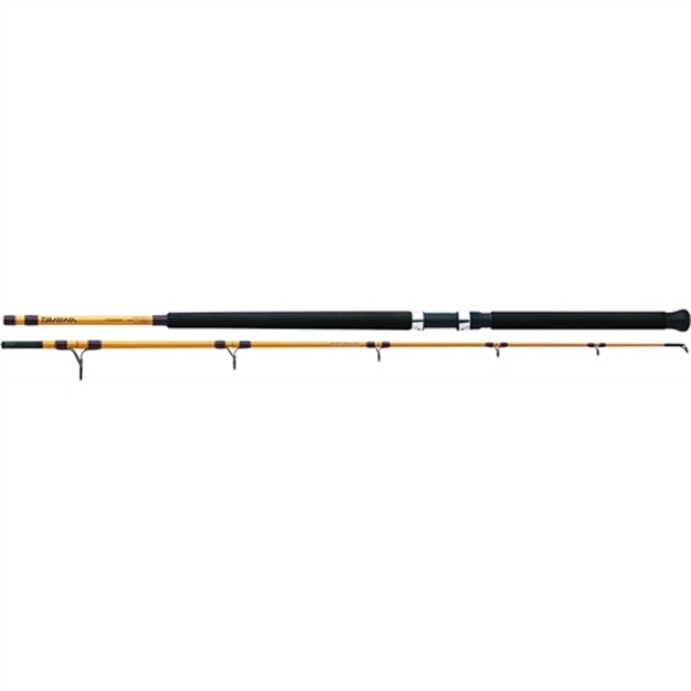 Picture of Daiwa FT Surf Spinning Rod, 8' 2Pc Med Fast