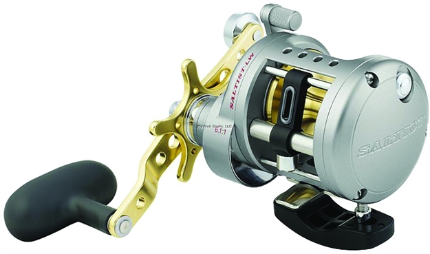 Picture of Daiwa Saltist Conventional Reel, Rh, 4Bb + 1Rb, 6.1:1 Ratio, Braid 40/260, 50/200, Mono 12/420, 14/350