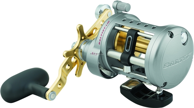 Picture of Daiwa Saltist Conventional Reel, Rh, 4Bb + 1Rb, 6.1:1 Ratio, Braid 40/380, 50/280, Mono 14/490, 20/295