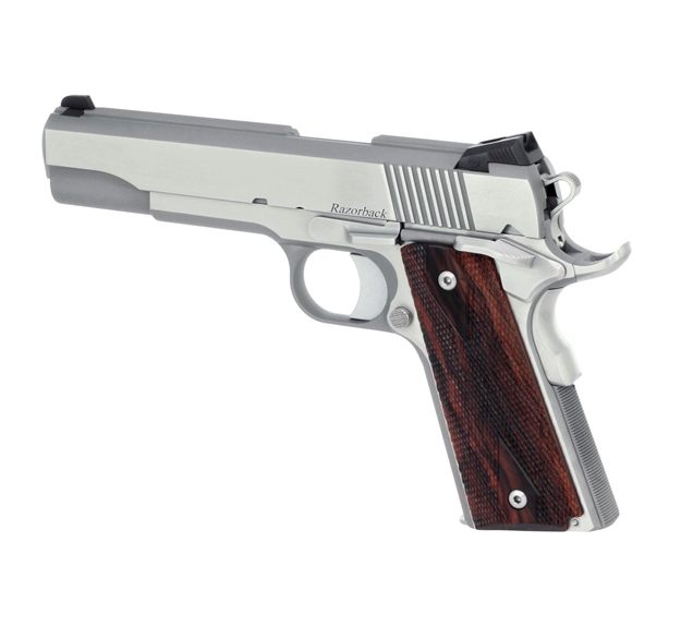Picture of Dan Wesson Rz-10 10Mm Stainless Steel Tritium Front- 9 Rd-01907