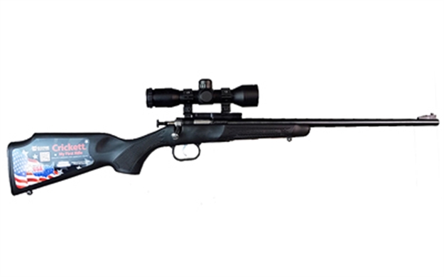 Picture of Davey Crickett 22Lr Blk/Syn With Scope KSA2240BSC