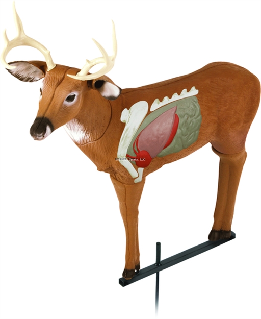 Picture of Delta Archers Choice Real World Buck 3D Archery Target