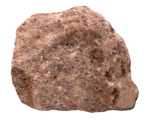 Picture of DO All Traps 12Lb Jurassic Rock