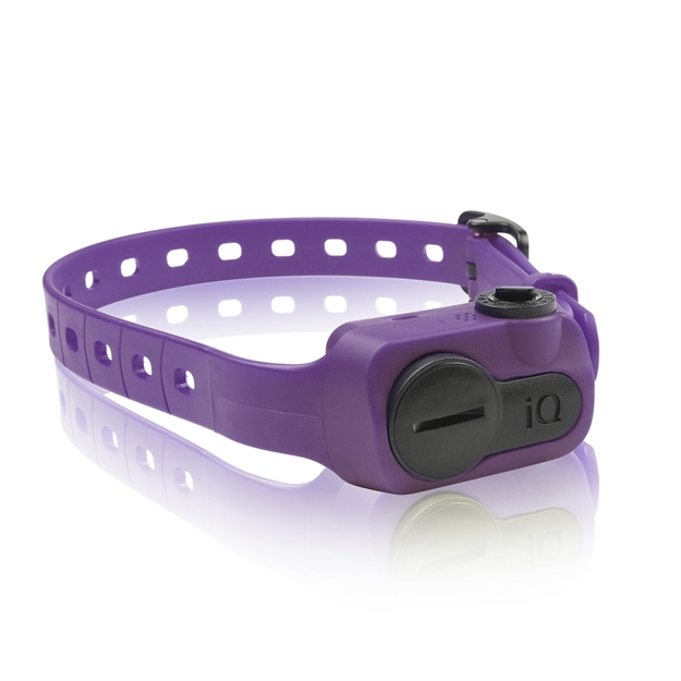 Picture of Dogtra IQ Pet NO Bark Collar Purple