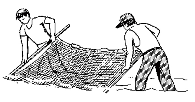 Picture of Douglas Net Seine Minnow-Poly-1/8" P3018