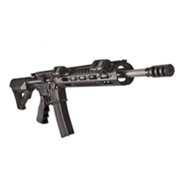 Picture of Dpmspanther Arms 3G2 223 16" 30Rd