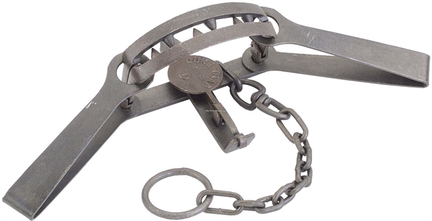 Picture of Duke Traps #15 Bear Trap, Medium, Offset Jaw, 12" Jaw Spread