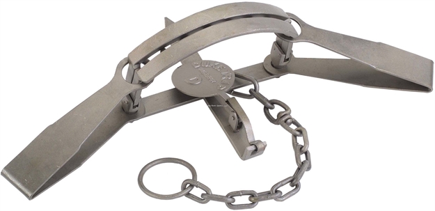 Picture of Duke Traps #16 Bear Trap, Large, Offset Jaw 16" Jaw Spread