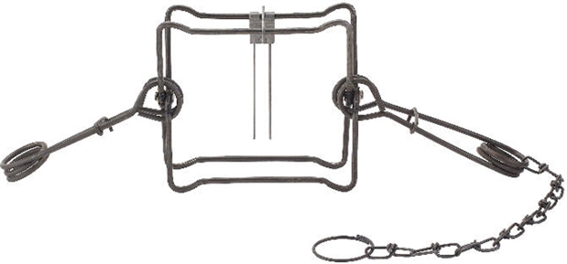 Picture of Duke Traps Body Trap, #220 Bt, 7" Jaw Spread, Raccoon,Groundhog,Fisher, Meets Aiht Standards 0420 011627004203