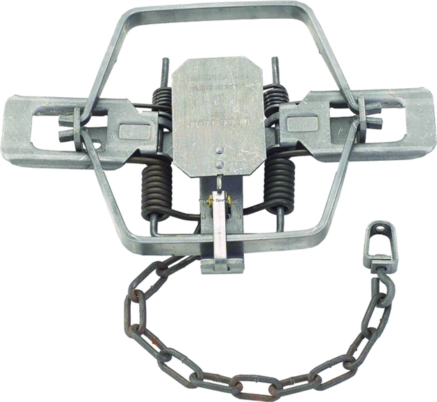 Picture of Duke Traps Coil Spring Trap, Square Jaw, #4 CS 4X, 6.5" Jaw Spread, Beaver, Bobcat, Coyote, Lynx