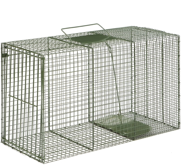 Picture of Duke Traps Heavy Duty Single Door Cage Trap, Xx-Large, 36X15x20, Bobcat, Coyote, Dog