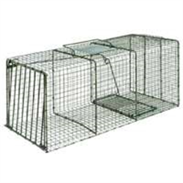 Picture of Duke Traps Heavy Duty Single Door Cage Trap, X-Large, 36X15x14, Large Raccoon,Fox,Cat 1114 011627011140