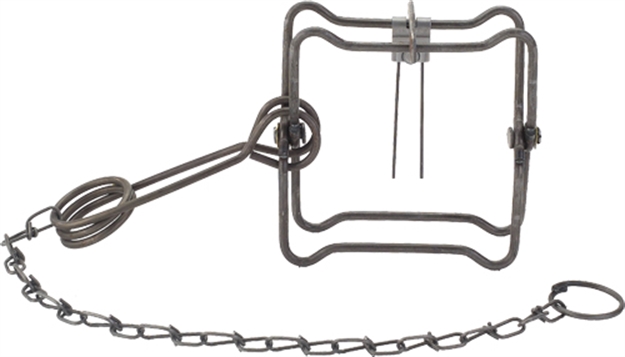 Picture of Duke Traps Traps #110 Body Trap Case OF 12 0400