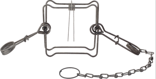 Picture of Duke Traps Traps #160 Body Trap Case OF 12 0466 10011627004668