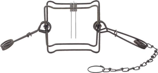 Picture of Duke Traps Traps #220 Body Trap Case OF 12 0420