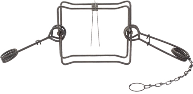 Picture of Duke Traps Traps #330 Body Trap Case OF 6 0430