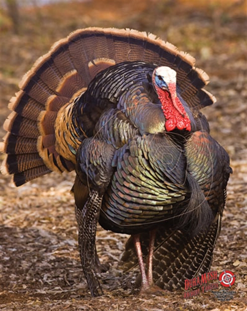 Picture of Dura Mesh Mesh Archery Target Stutter Turkey Target 32"X25"