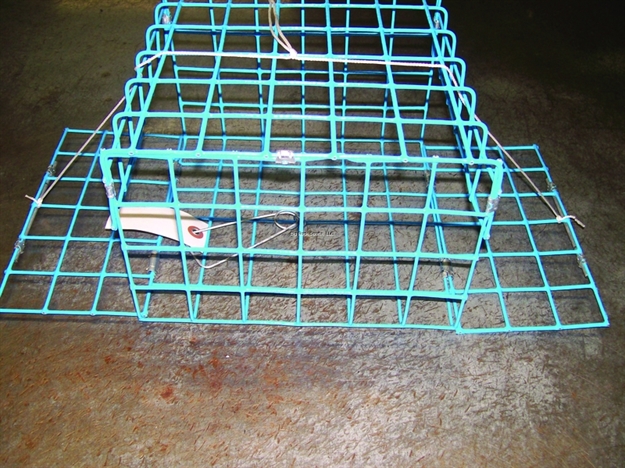 Picture of E-Z Catch 2 Door Non Folding Crab Trap Blue