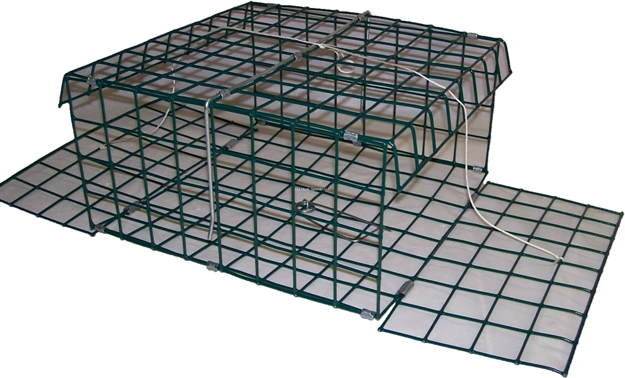 Picture of E-Z Catch Fold-A-Way 2 Door Green Folding Trap With Bait Clip