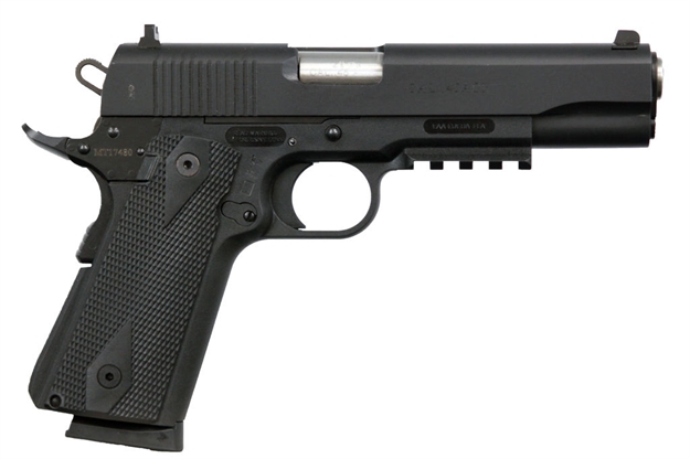 Picture of Eaa 1911P Wit 45Acp 8Rd 5" Poly