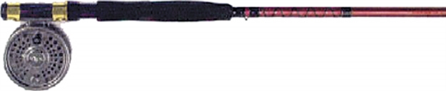 Picture of Eagle Claw 8'6" Fly Combo 7/8 WT