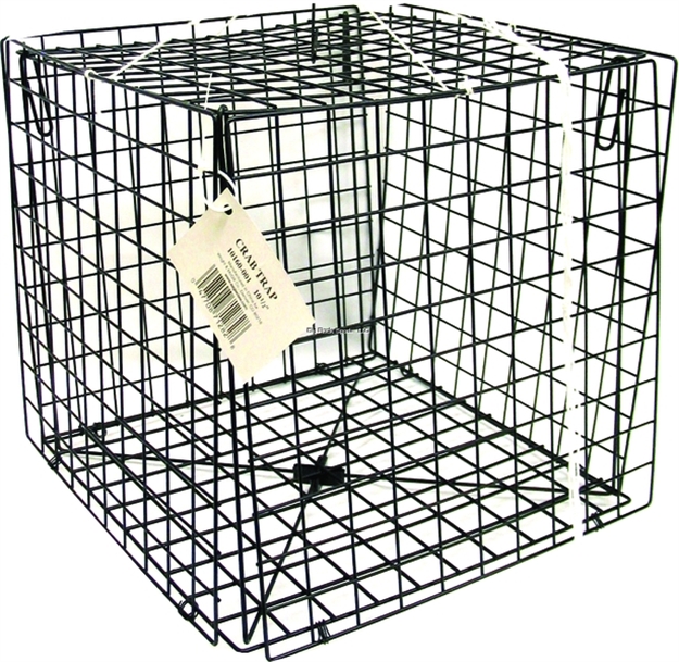 Picture of Eagle Claw Crab Trap Square 10-1/2"X 10-1/2"