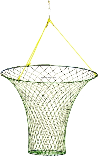 Picture of Eagle Claw Steel 2 Ring Pier & Bridge Set