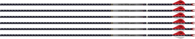 Picture of Easton Arrow 4Mm Fmj 300 6-Pack W/ 2" Blazer Vanes 930154 723560301546