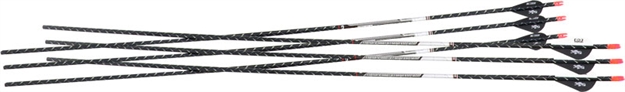 Picture of Easton Fmj Nfused Arrows W/Hit Ins 2"Blazer Vns 1/2 DZ PK 340 817841TF