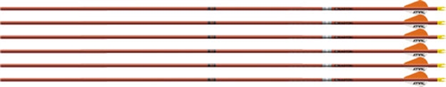 Picture of Easton Arrow Fmj 5Mm 400 W/ 2" Bully Vanes 6-Pack Autumn Org 830475