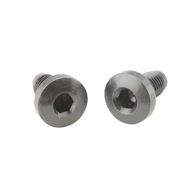 Picture of ED Brown 1911 Auto Grip Screws, Ss-24