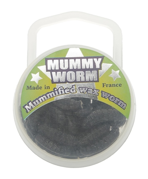 Picture of Eurotackle Mummy Worm,  Preserved Wax Worms, Black, 35+/Pack